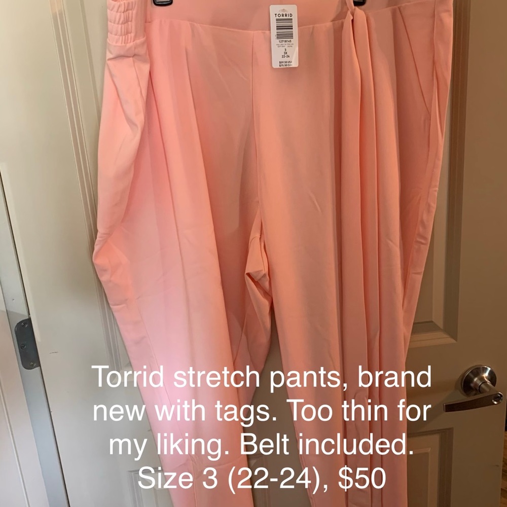 Dress pants